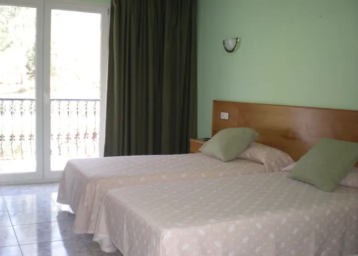 Vida Chamuinas סנשנשו