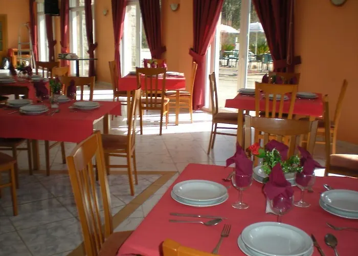 Vida Chamuinas סנשנשו